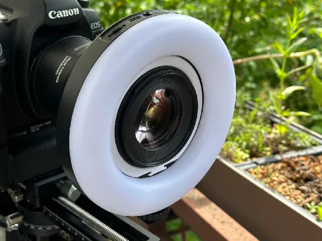 Ringlicht-Adapter Rollei Lumis auf Canon EF Makro 100 1:2.8 L IS USM