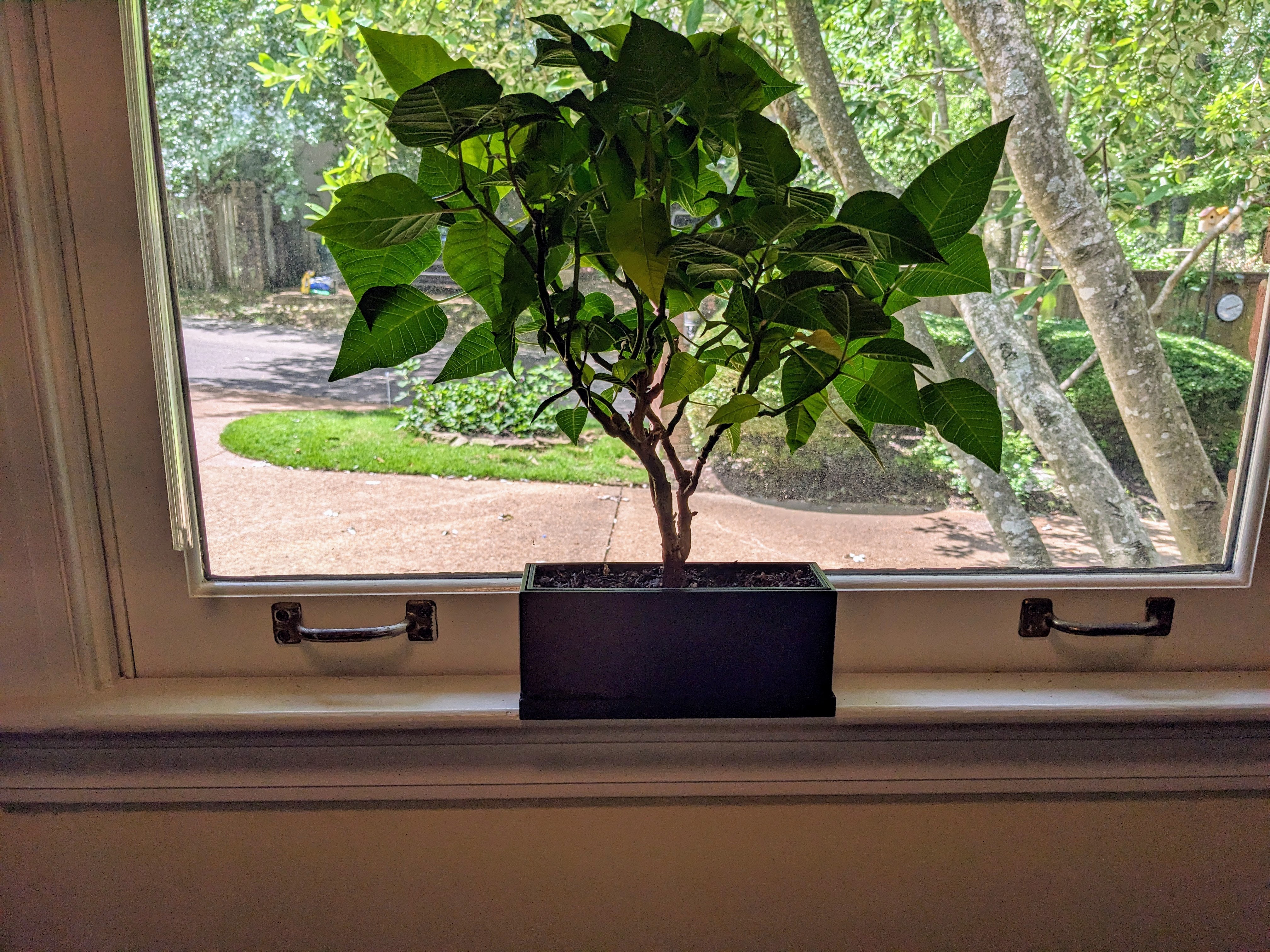 Window Sill Plant Pot