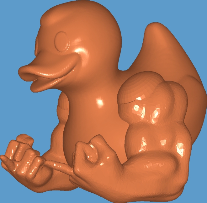 I DIDN'T MEAN DUCK