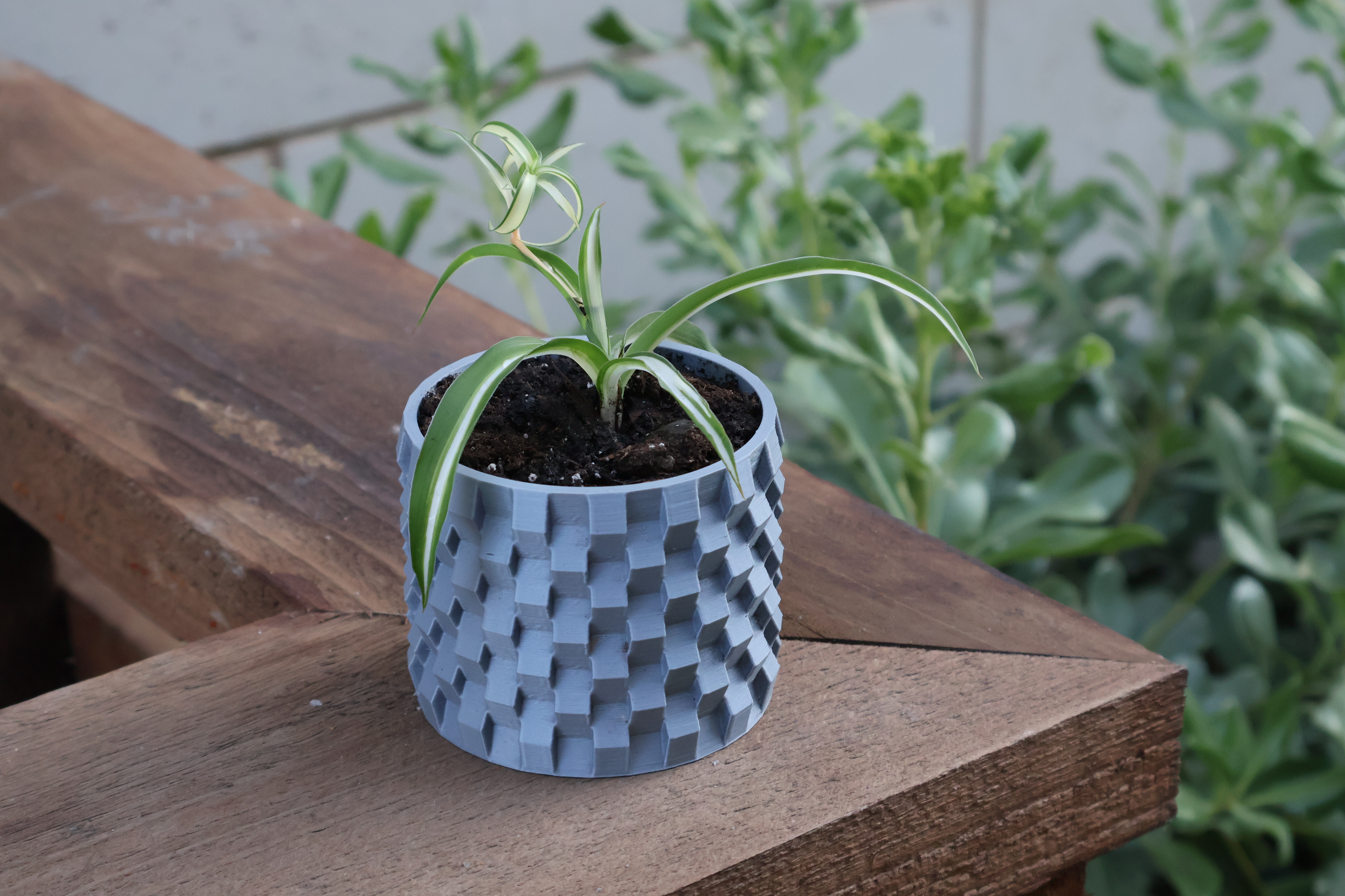 Modern Traditional Wicked Pot with drainage holes