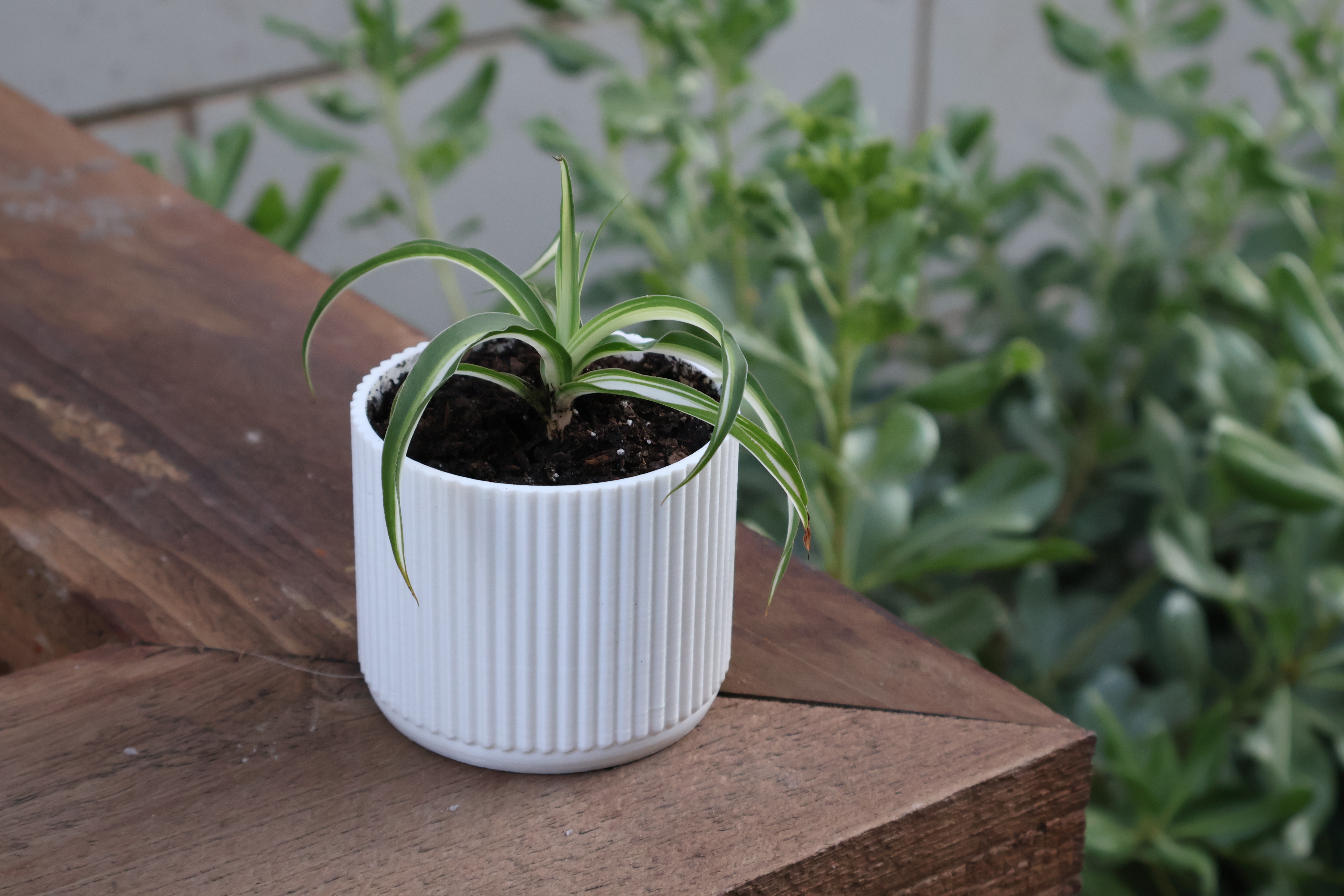 70's Style Planter with drainage holes
