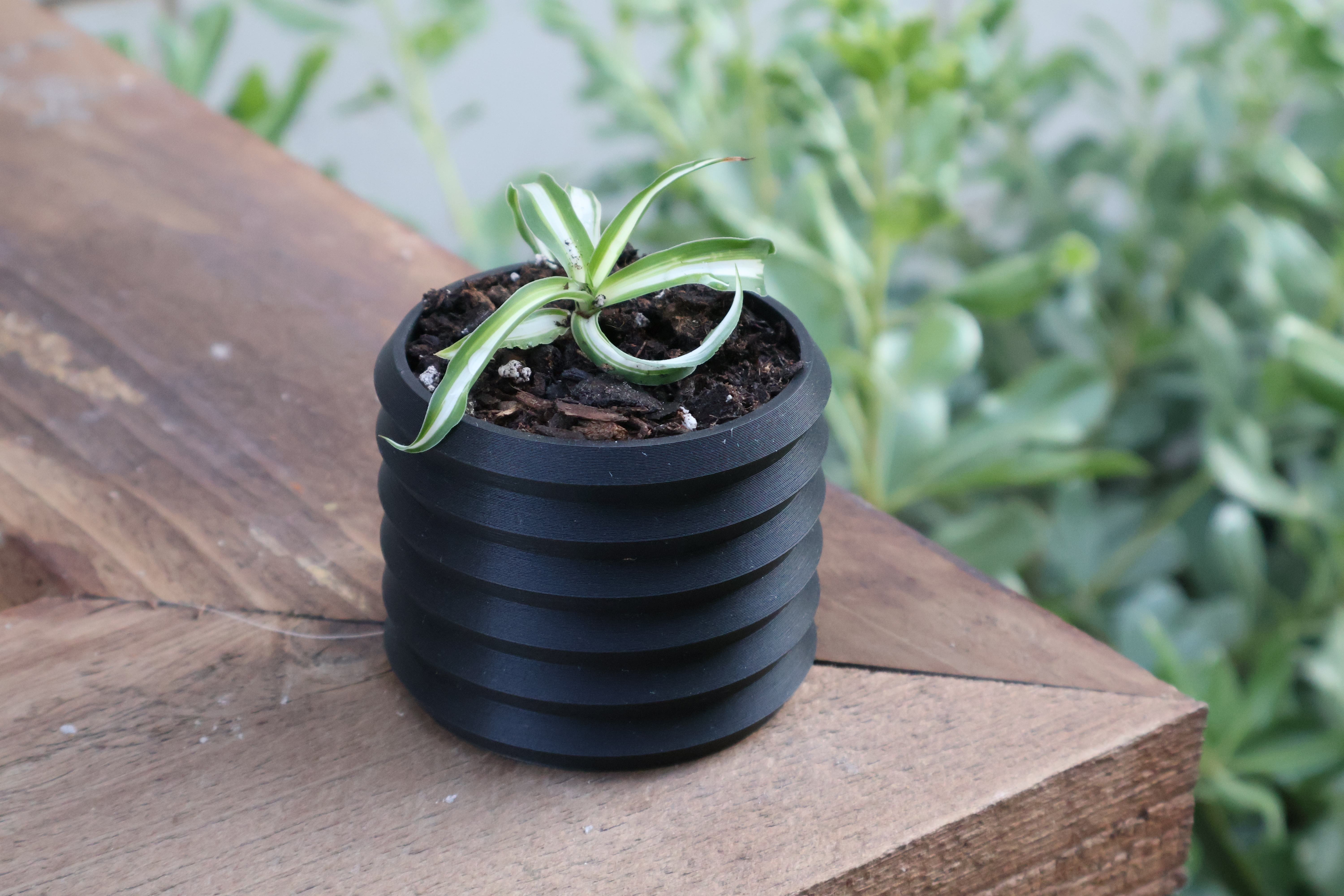 Lantern Pot with drainage holes