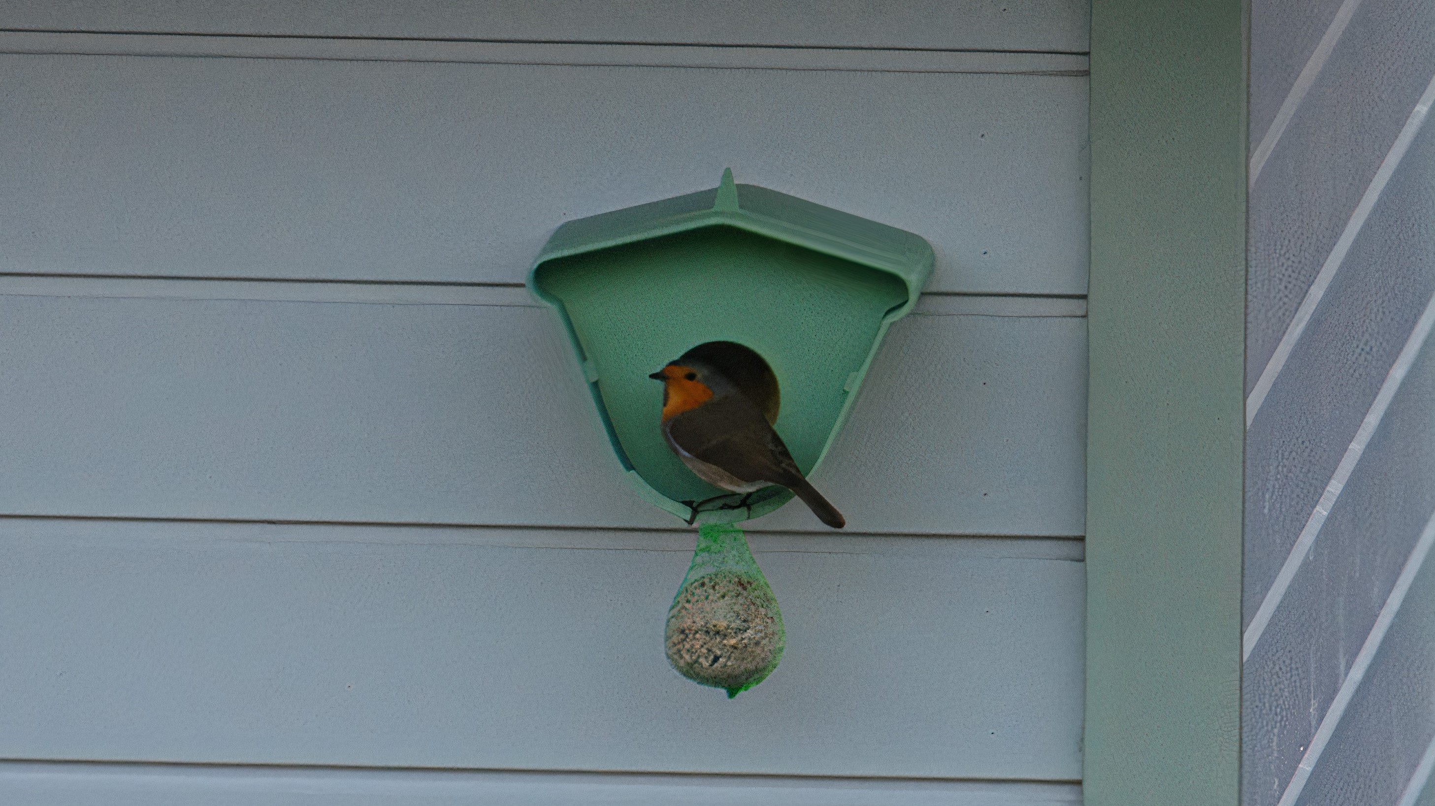 Birdfeeder with peanutbutter