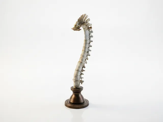 Spine Sculpture Anatomical Art 3D Printable