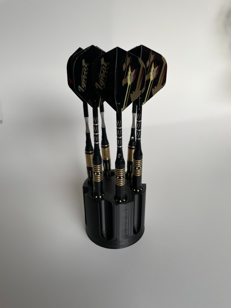 Dart Holder
