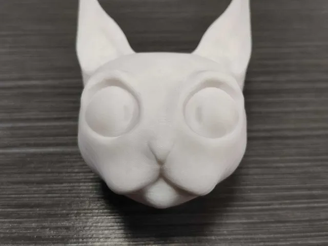 Cat head