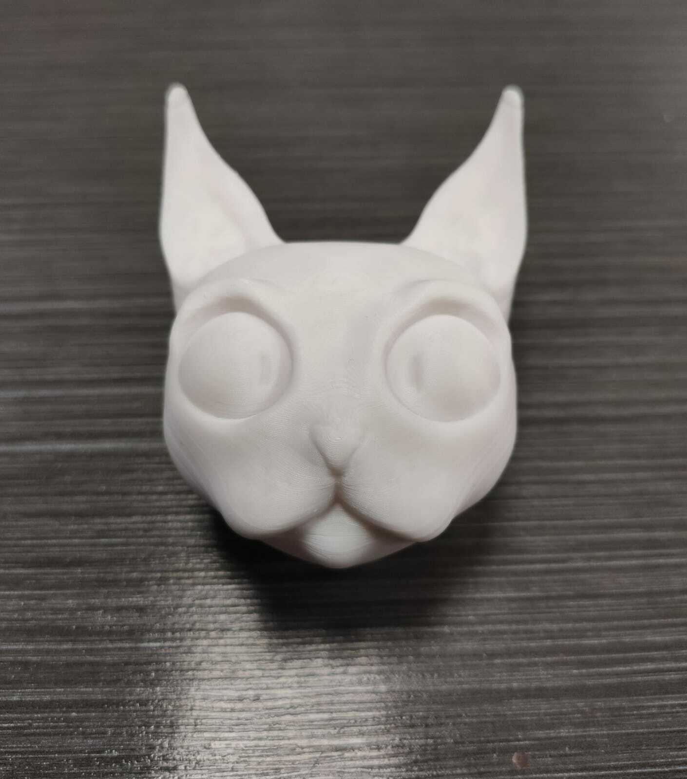 Cat head