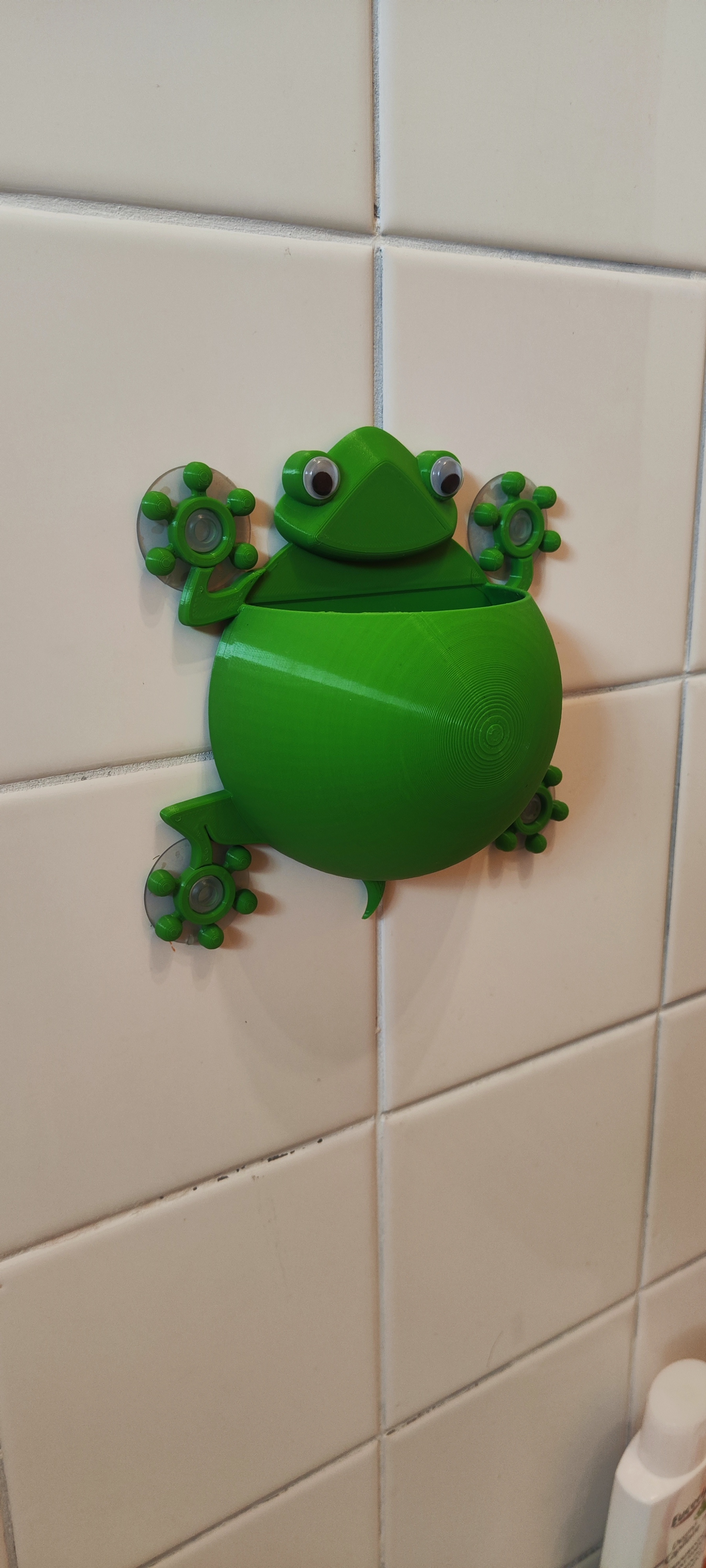 Frog-Lizard