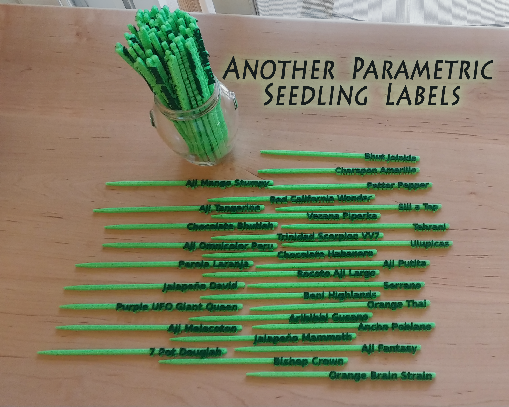Another Parametric Seedling Labels (Based on @seasick / @fortinmike models) 3D model thumbnail