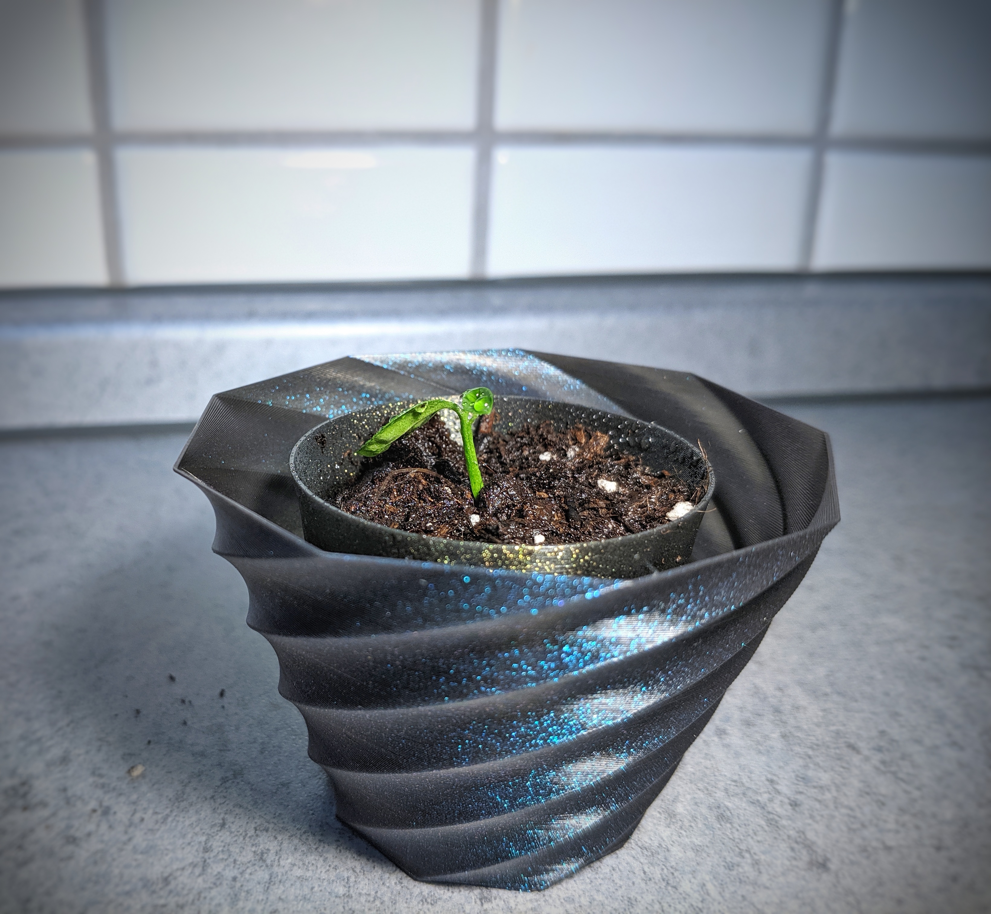 Emergency planting cup — miniatura 4