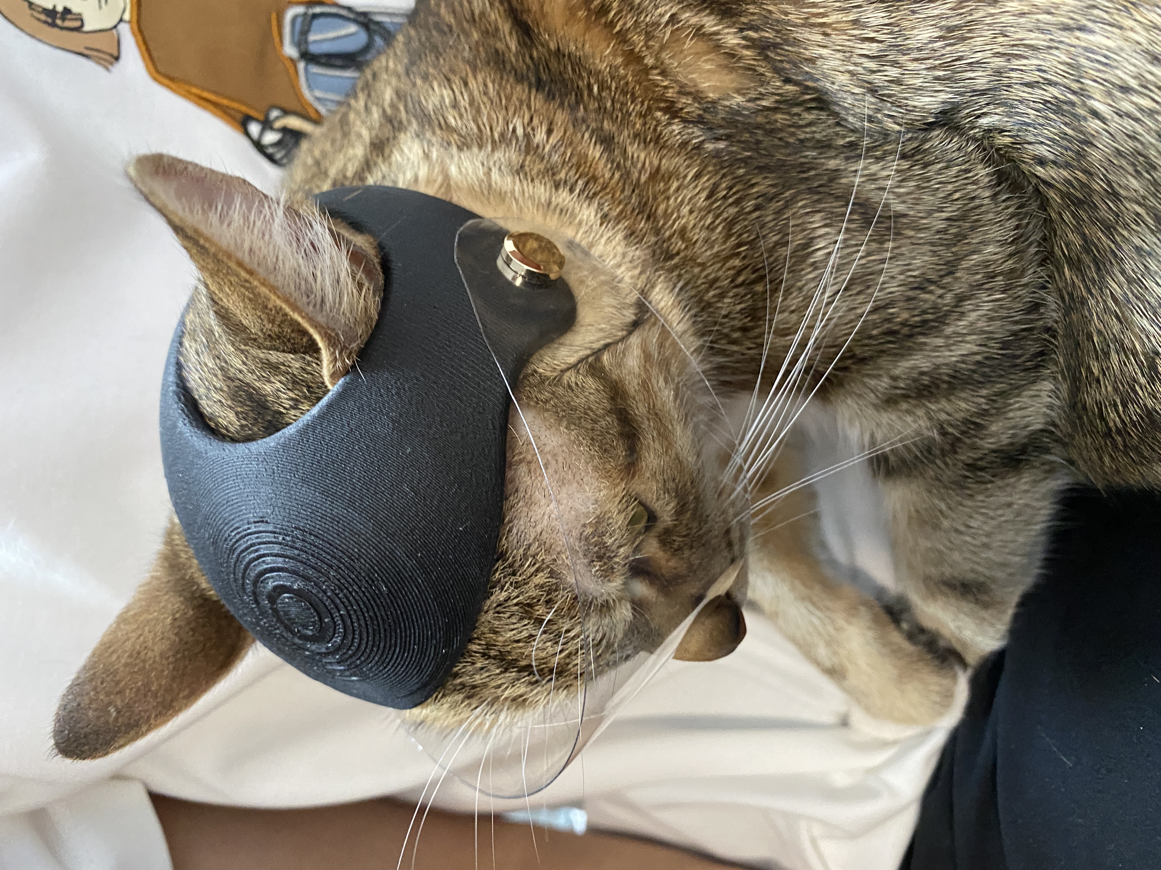 Cat Helmet — miniatura 2