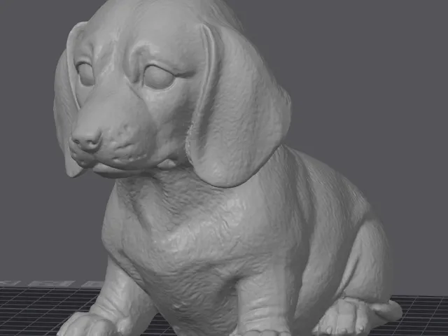 Little Dog