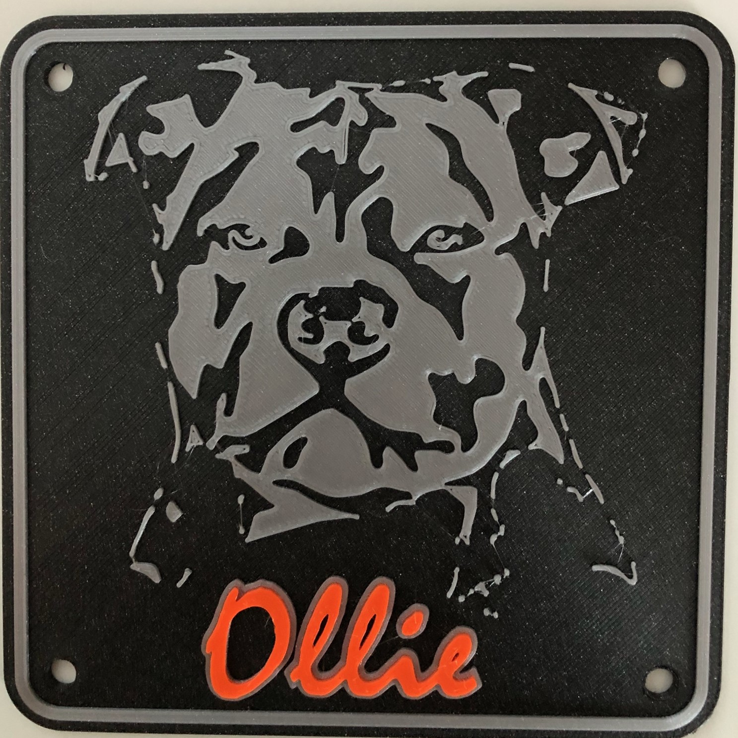 Dog crate outlet for staffy