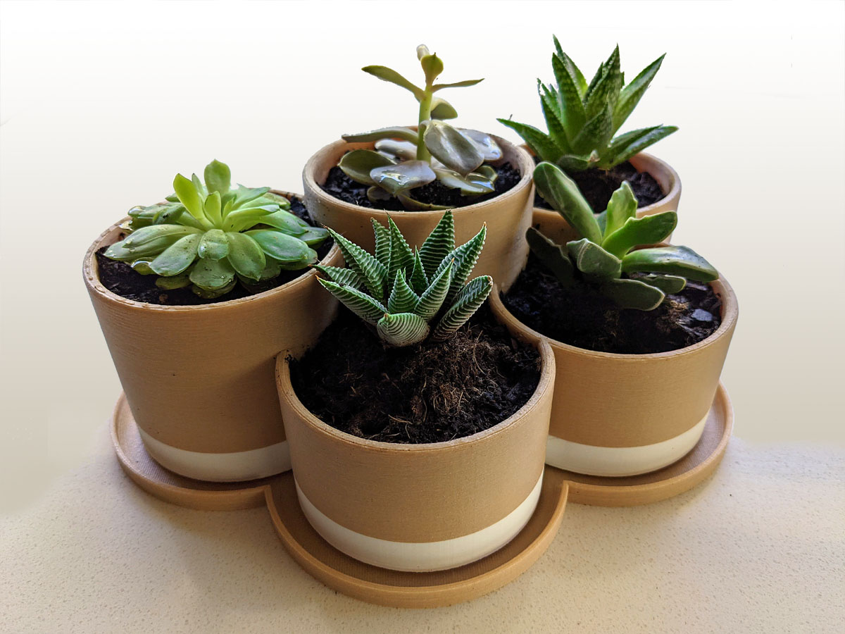 Plant Pot for 5 Plants with Tray by INeedOneDesigns | Download free STL ...