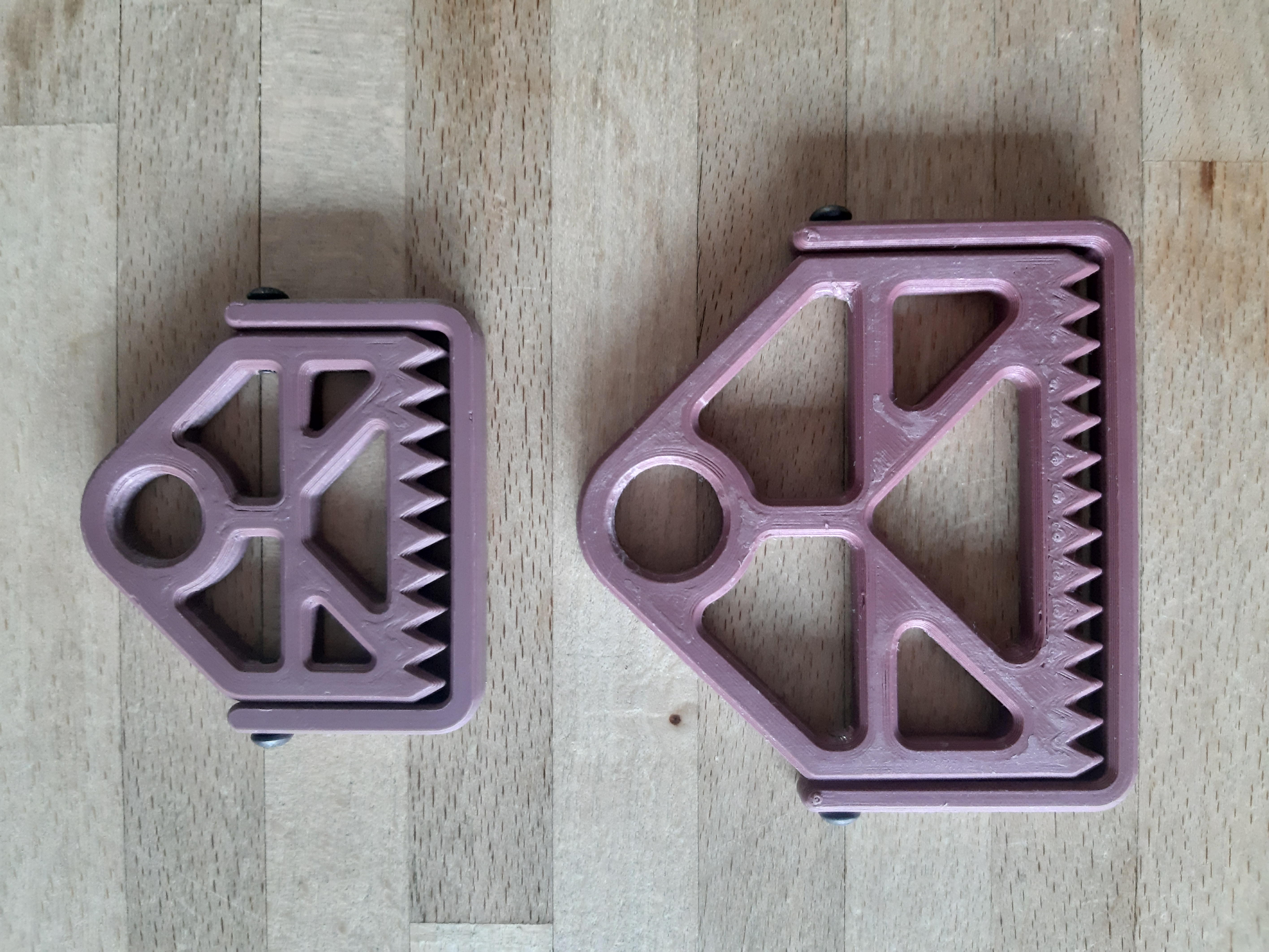 CSM Buckle
