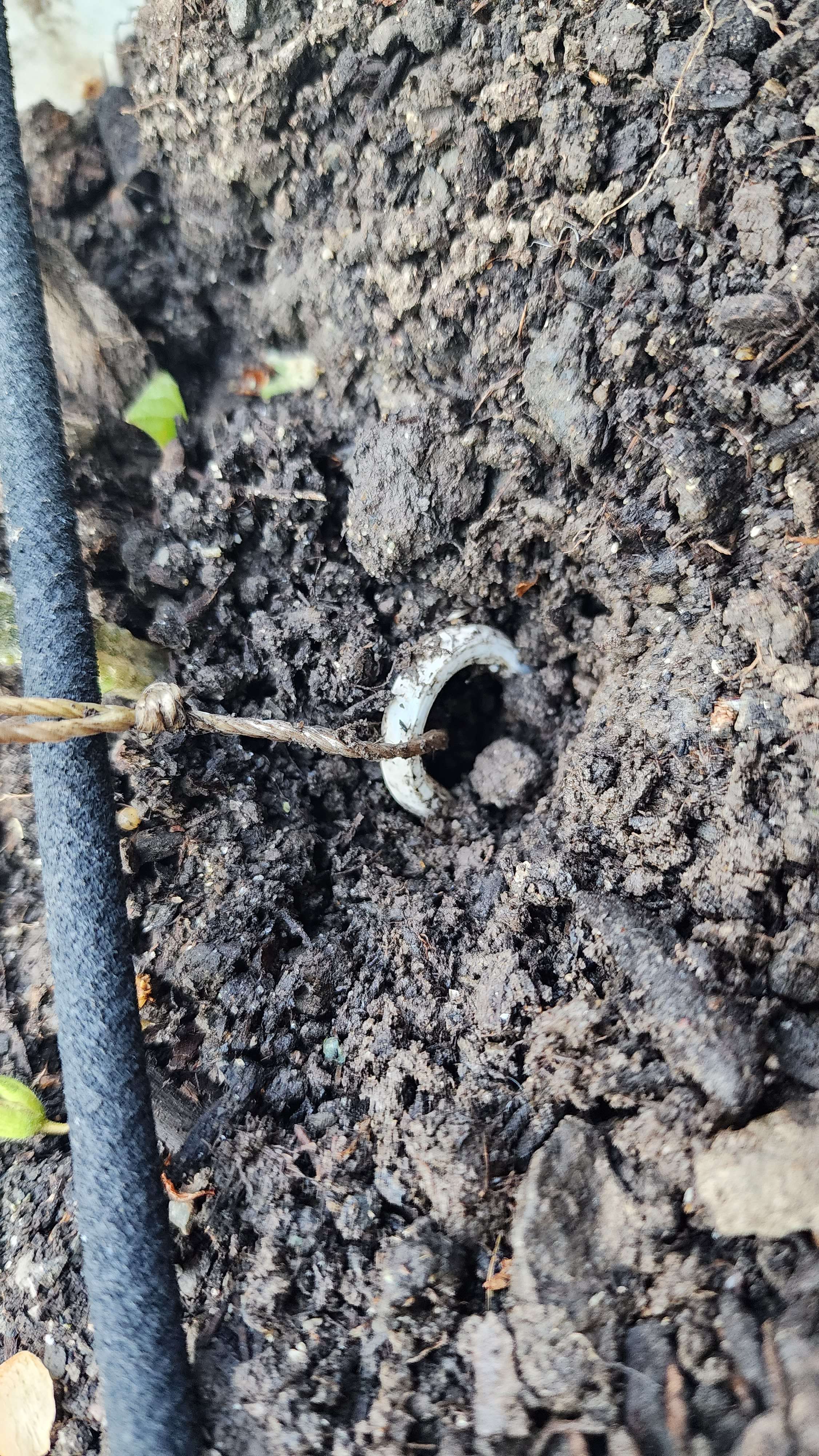 Garden Trellis Stake