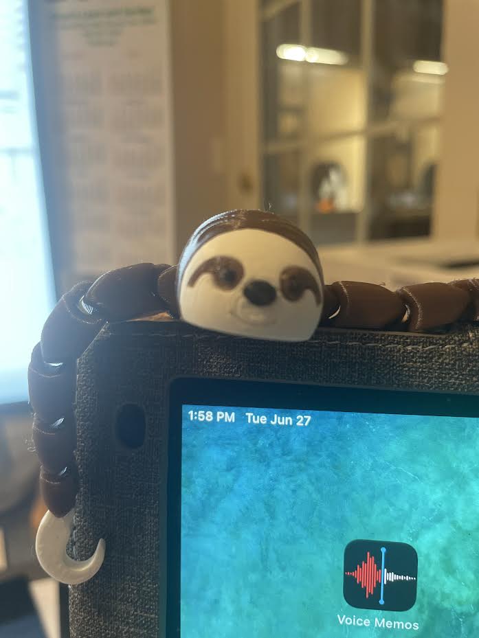 Sloth Face
