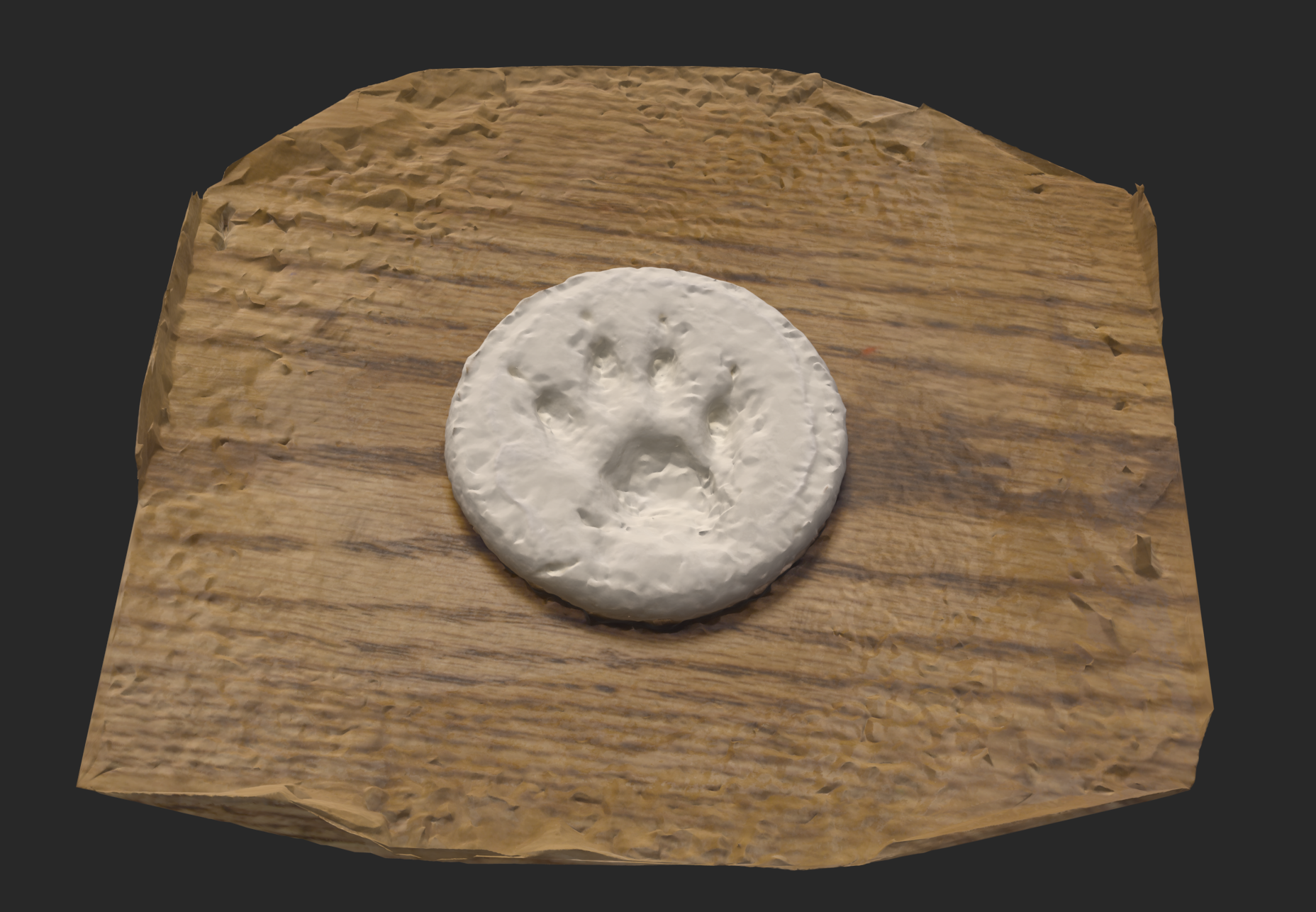 Beaker's Paw