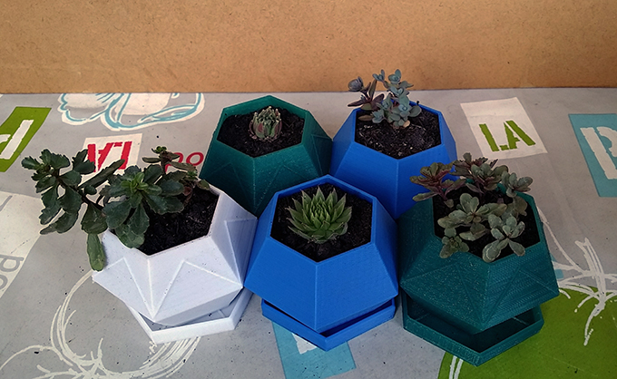 Hexagon Sukkulenten Pflanzgefäß (succulent planter)