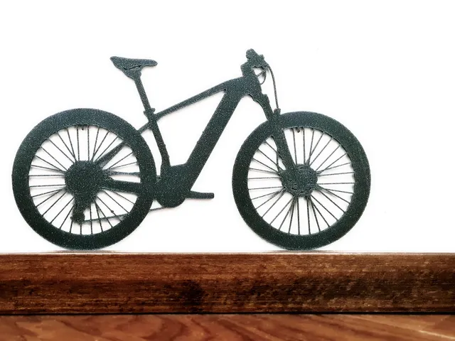 Mountain bike silhouette 🚵‍♂️ ornament V1 – hardtail eMTB