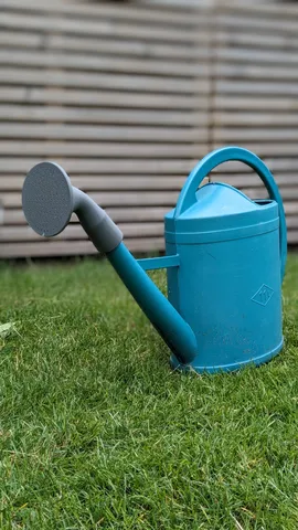 Sprinkler head watering can