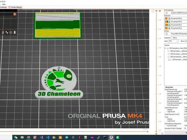 3DChameleon Keychain Test File