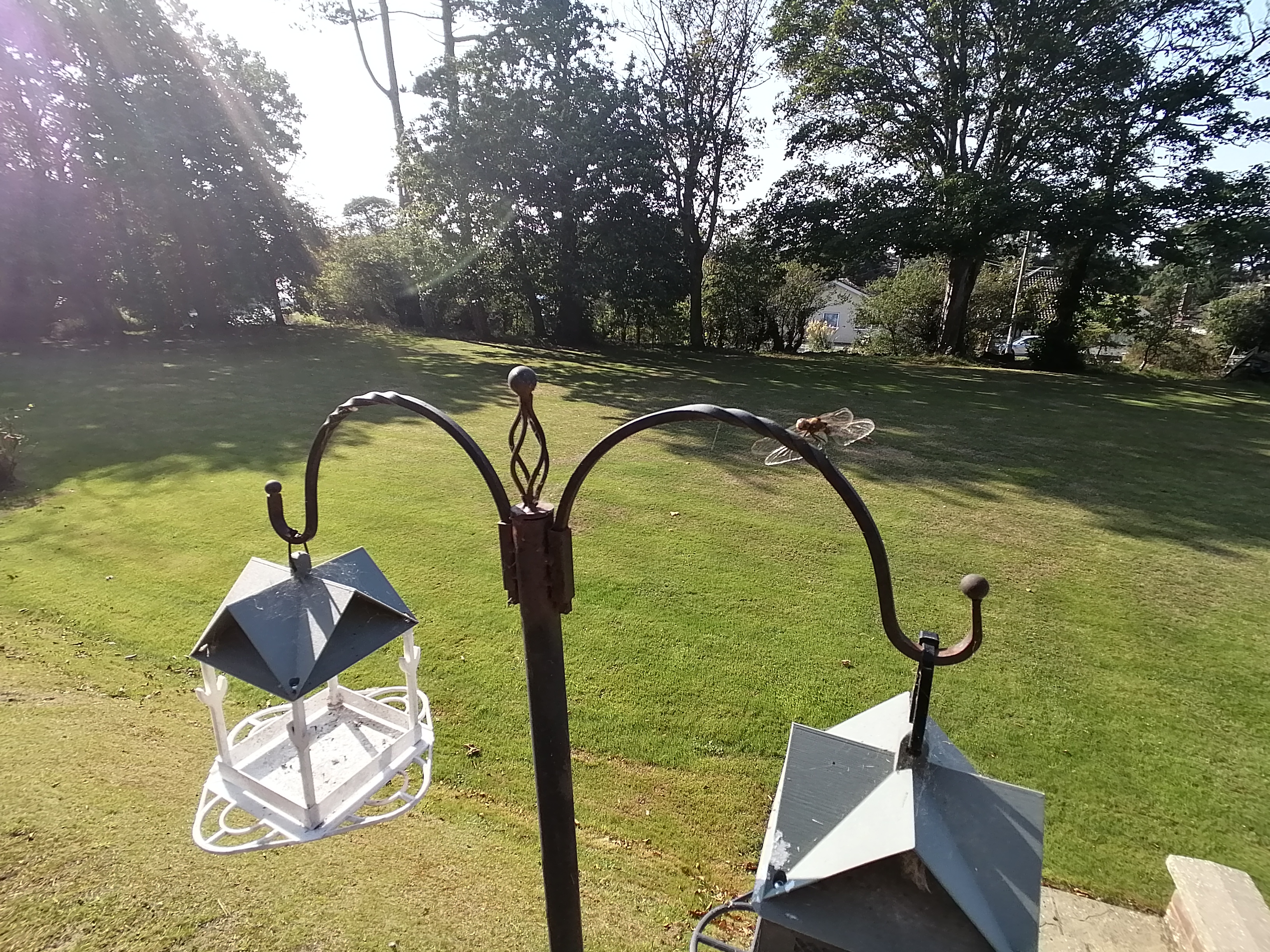 Bird Feeder