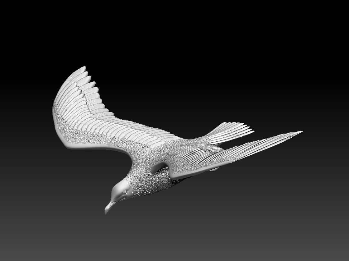 seagull — miniatura 14