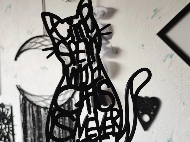 Black Cat