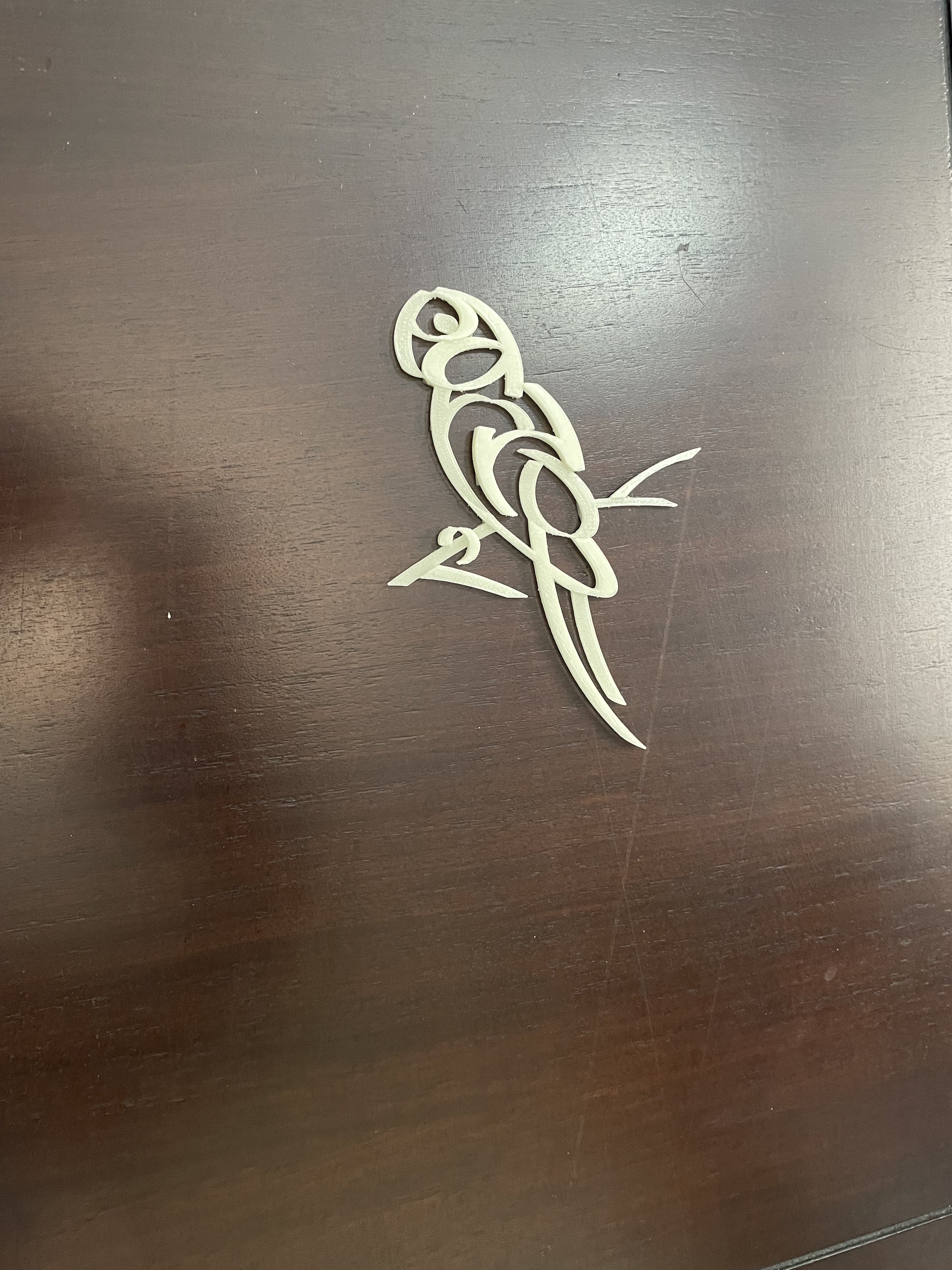Parrot_Typography