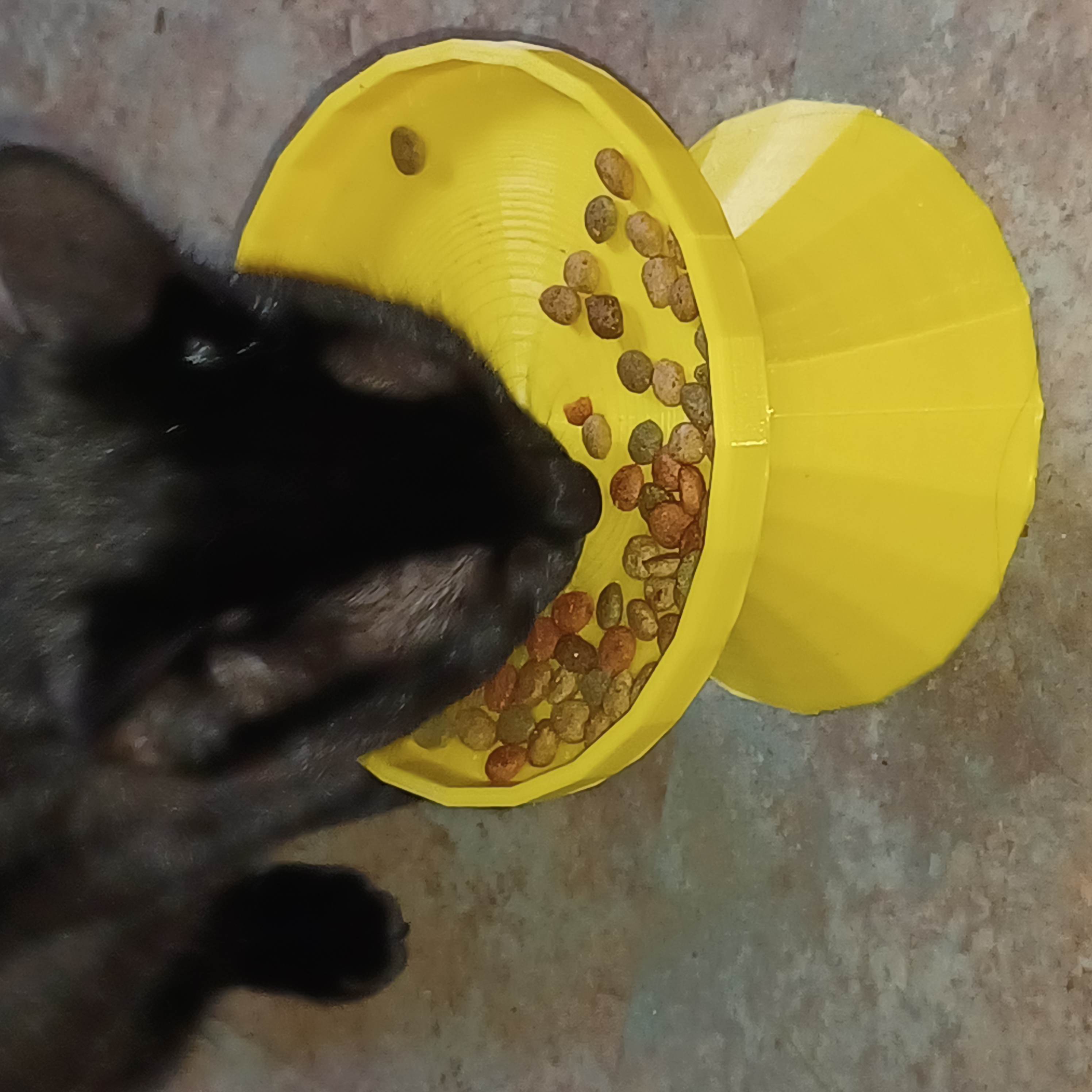 new and improved cat food dish