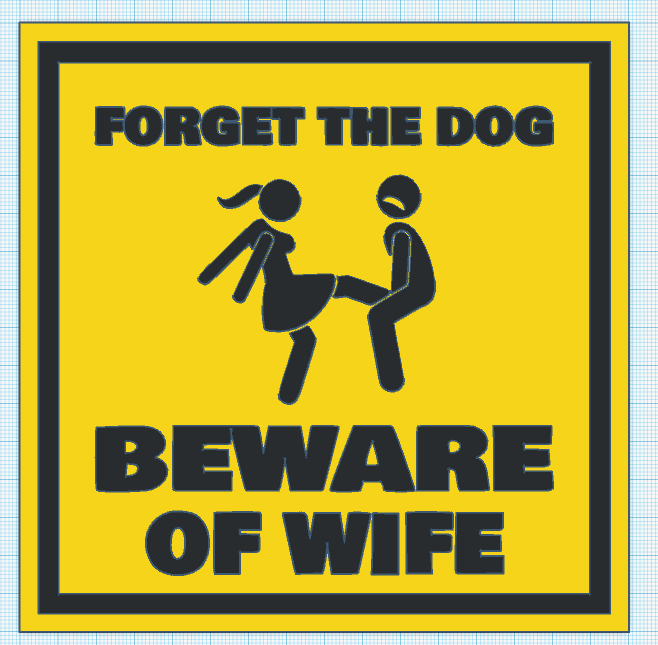 Cartello In Alluminio Umoristico 'Danger: FORGET THE DOG BEWARE OF CAT' - 20,3 X 30,5 Cm, Per Interni/Esterni