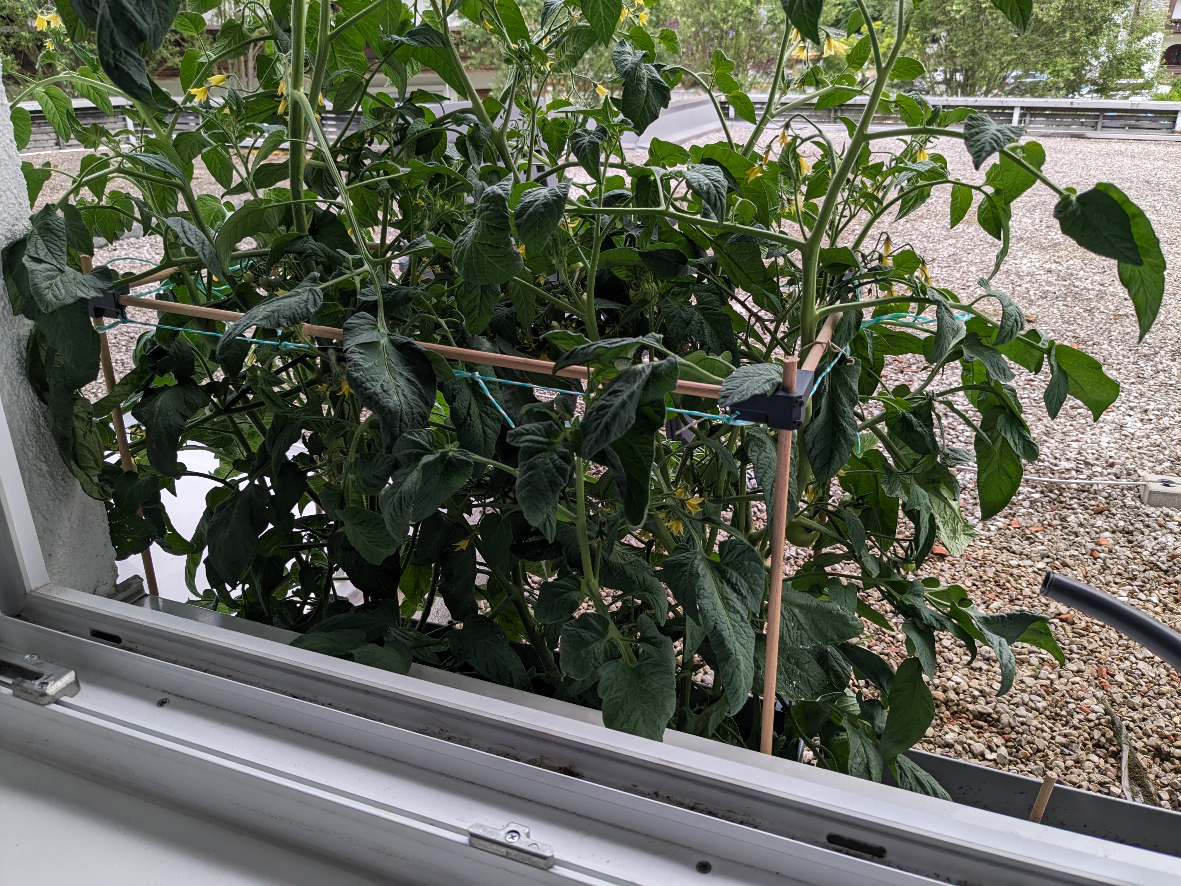 Mini garden frame