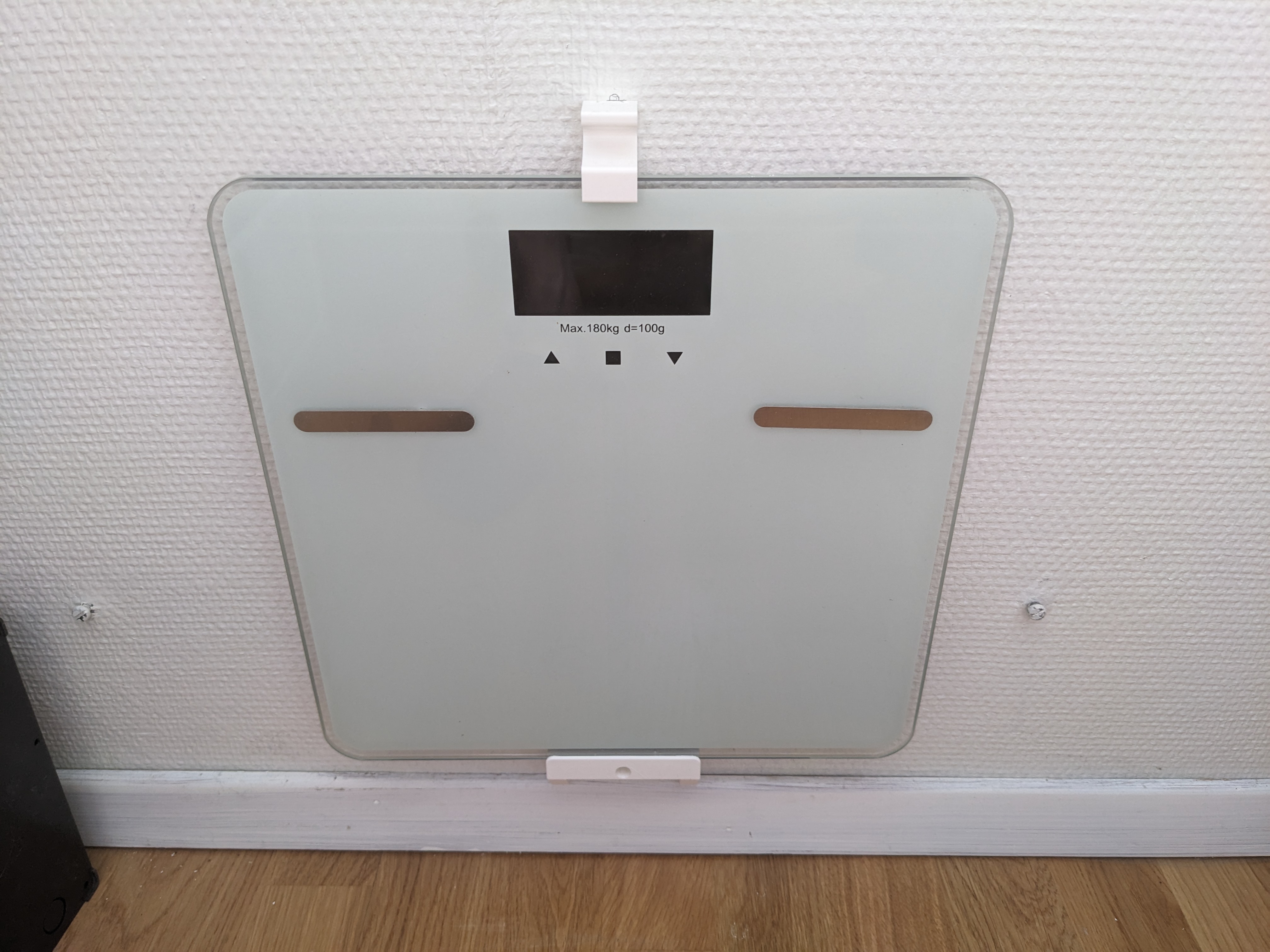 Holder for scale