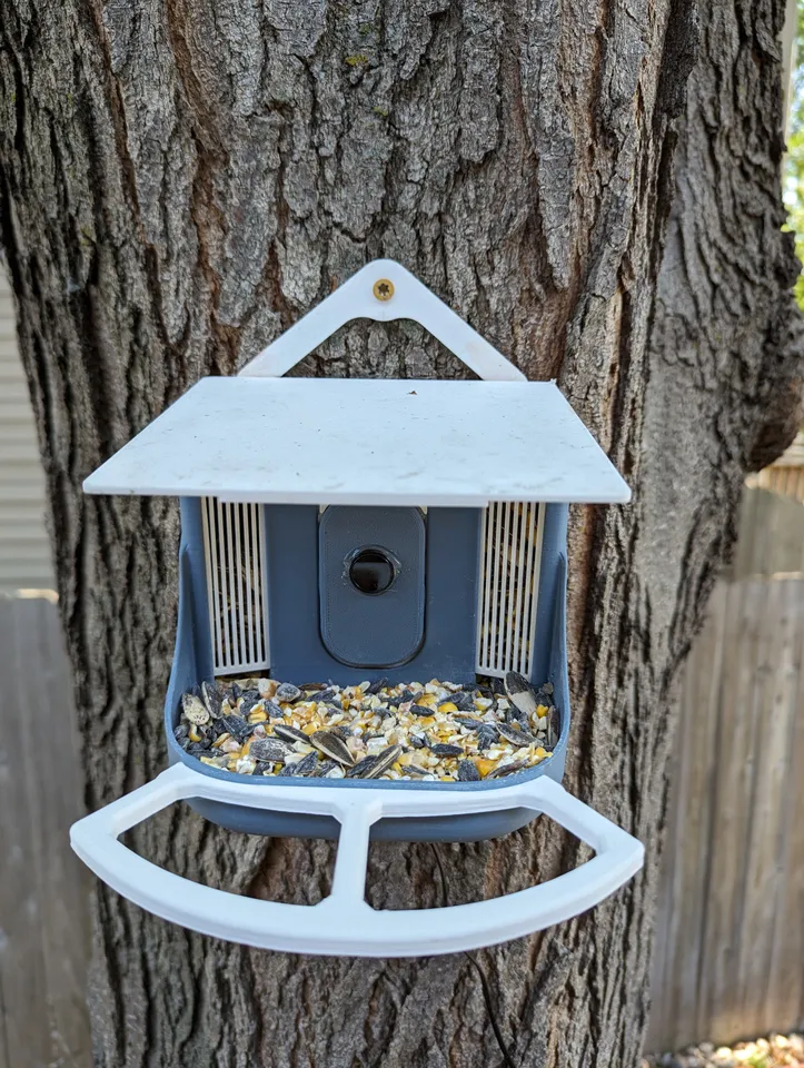 Bird Buddy Smart Bird feeder review