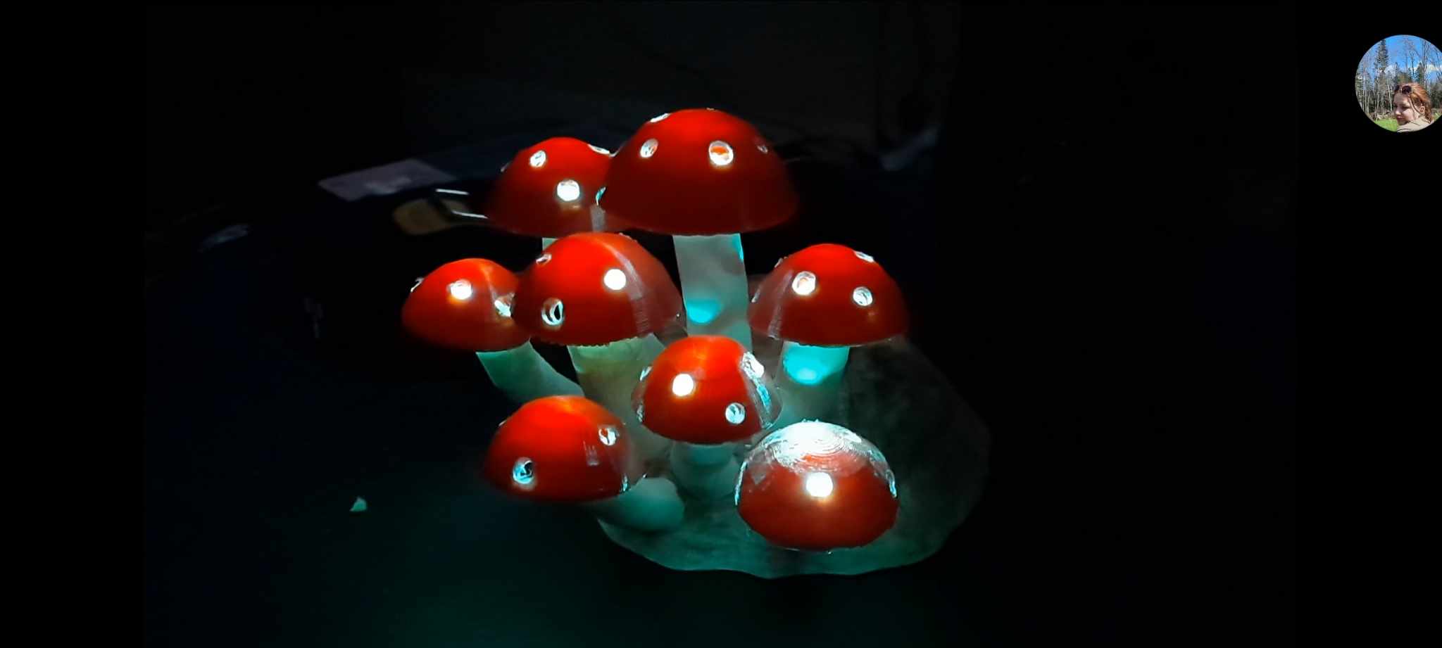 Mushrooms — miniatura 2