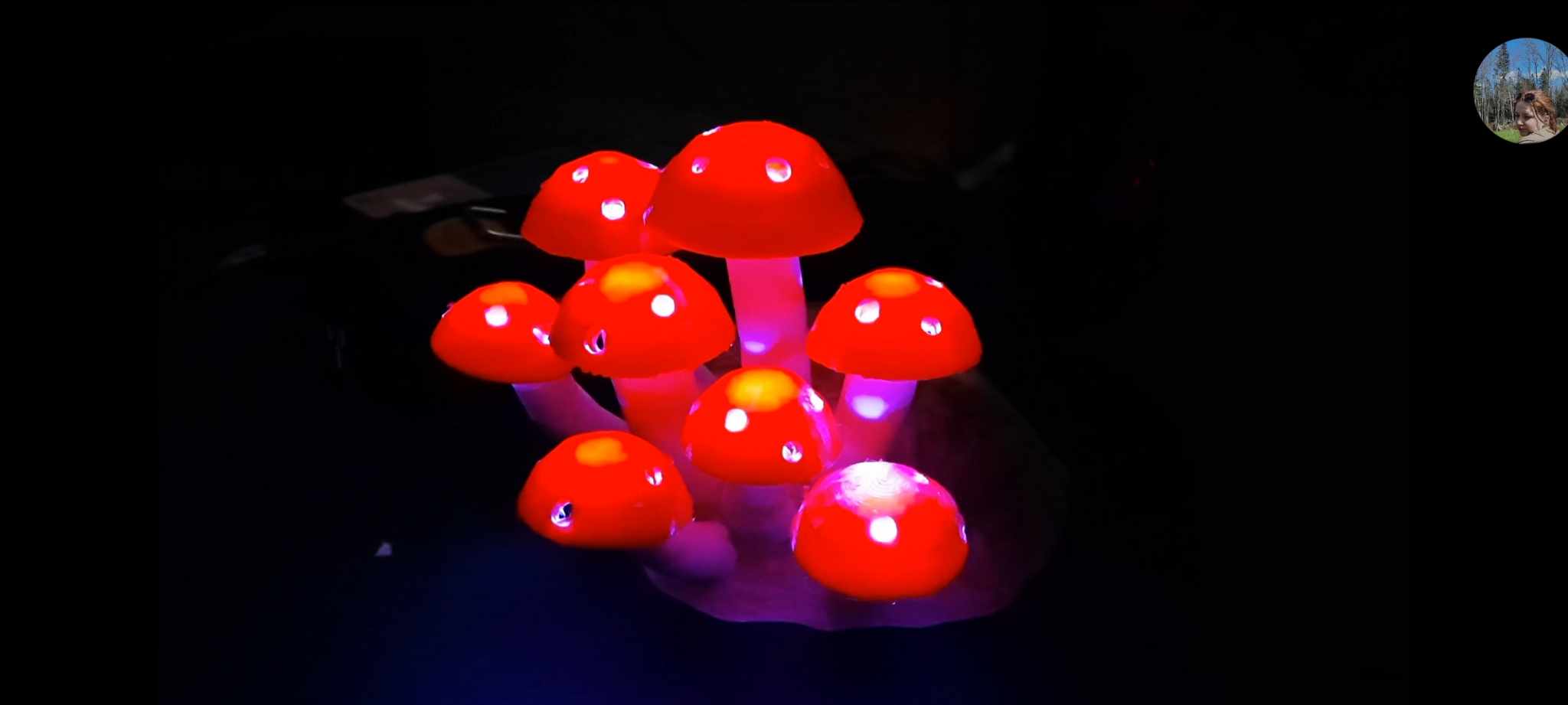 Mushrooms — miniatura 3
