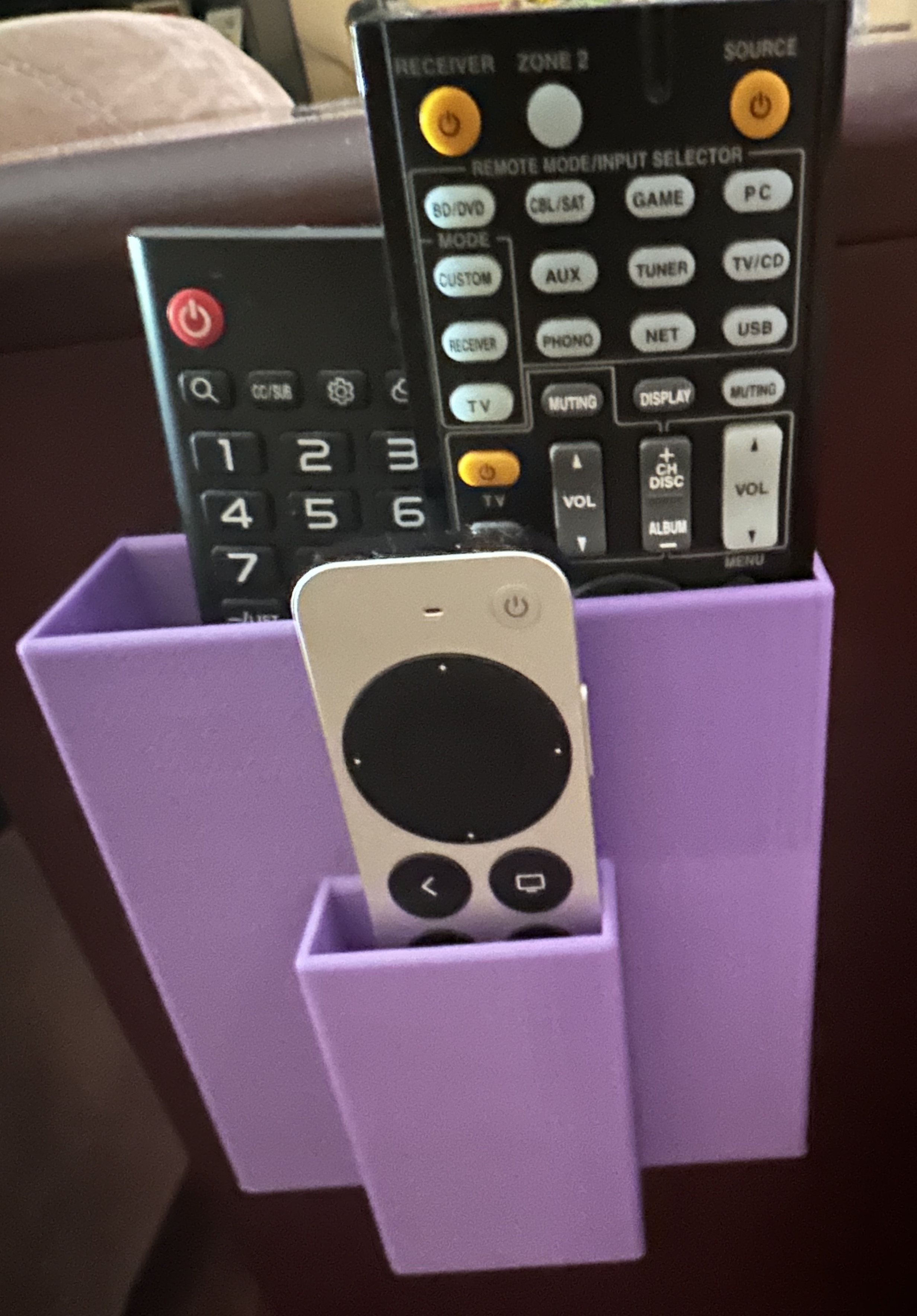 Remote control organizer