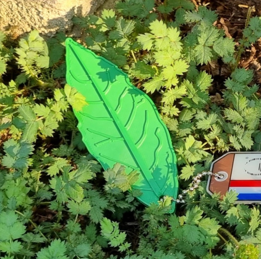 Laurel leaf keychain