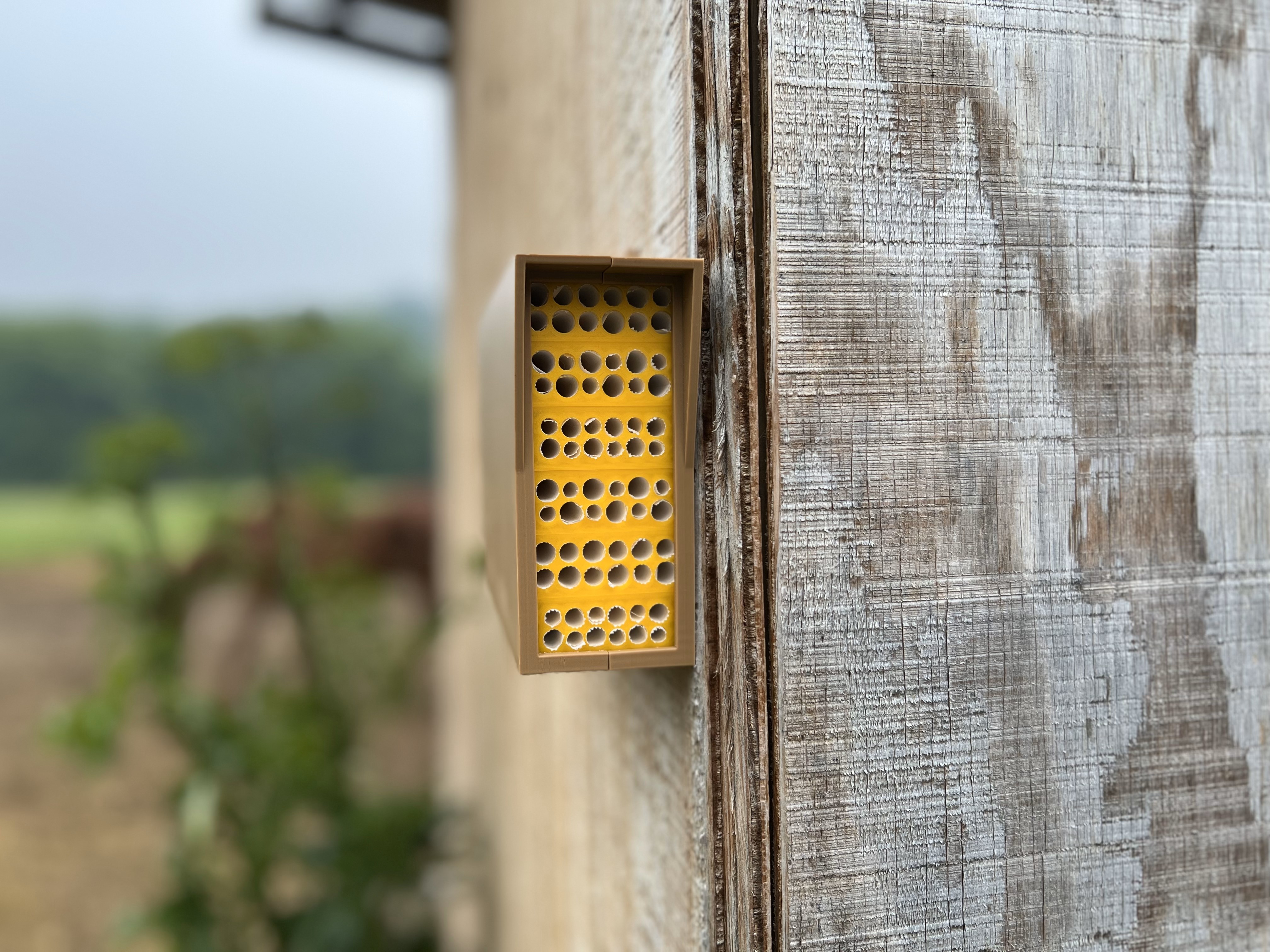 Solitary bee hotel
