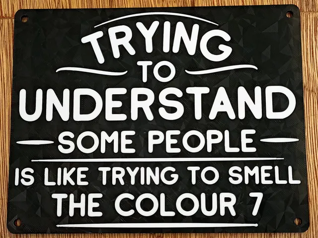 Funny Sign -"Trying to understand some people is like..." - Dual Color design