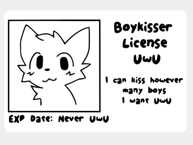 boykisser License