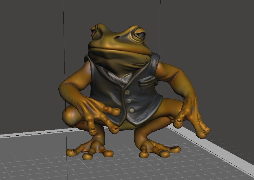 Squatting Frog
