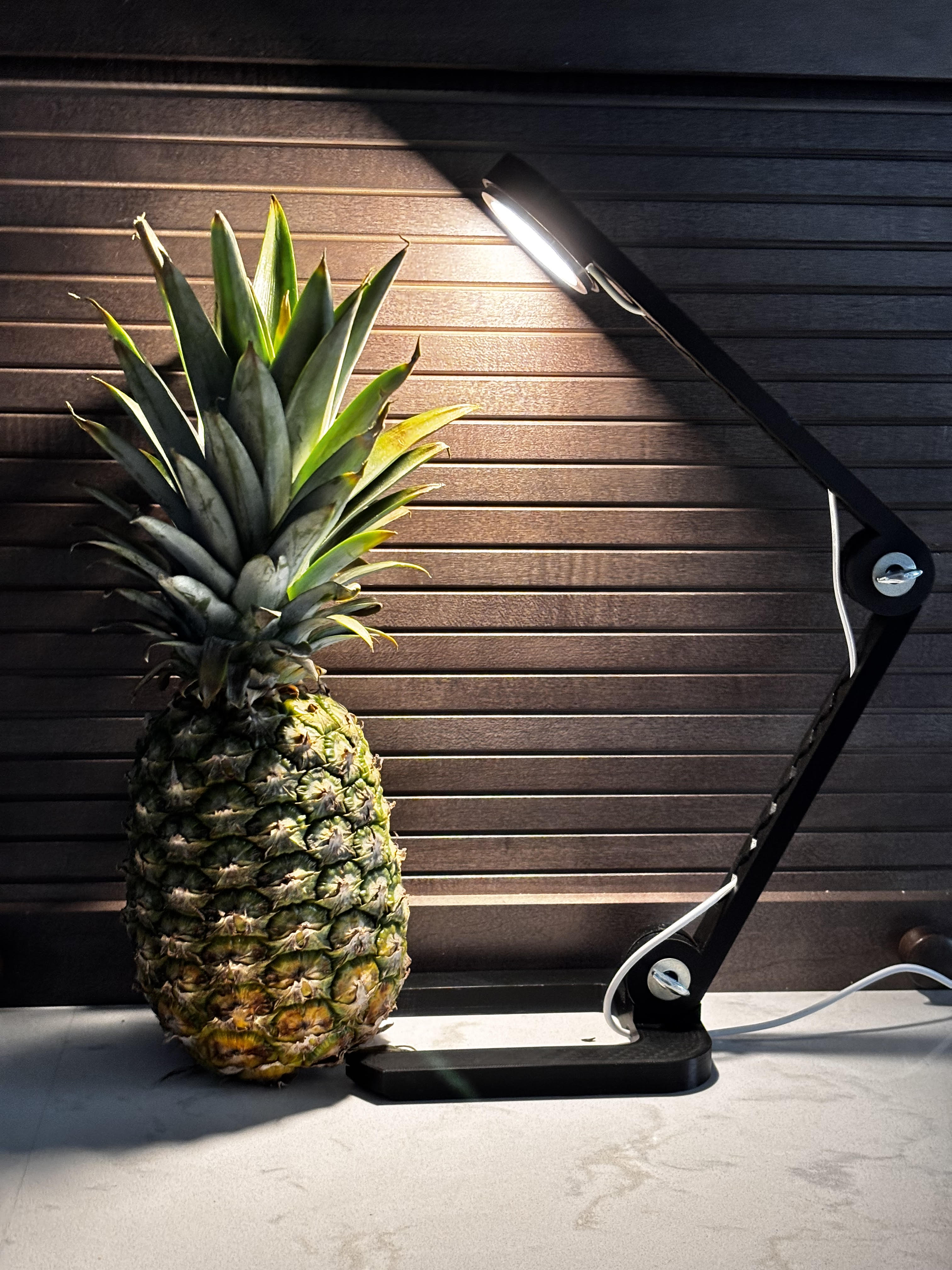 articulating desk lamp