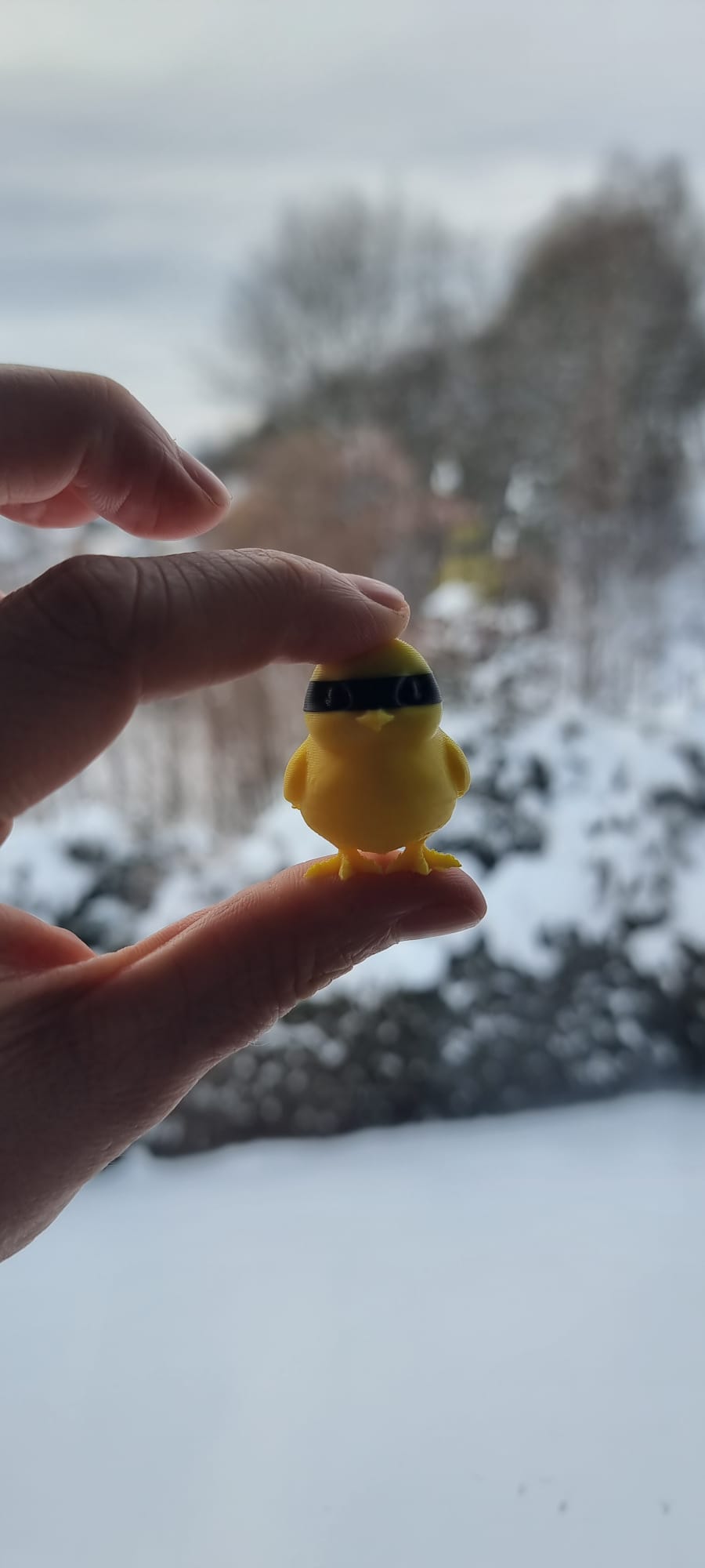 Mini chick — miniatura 5