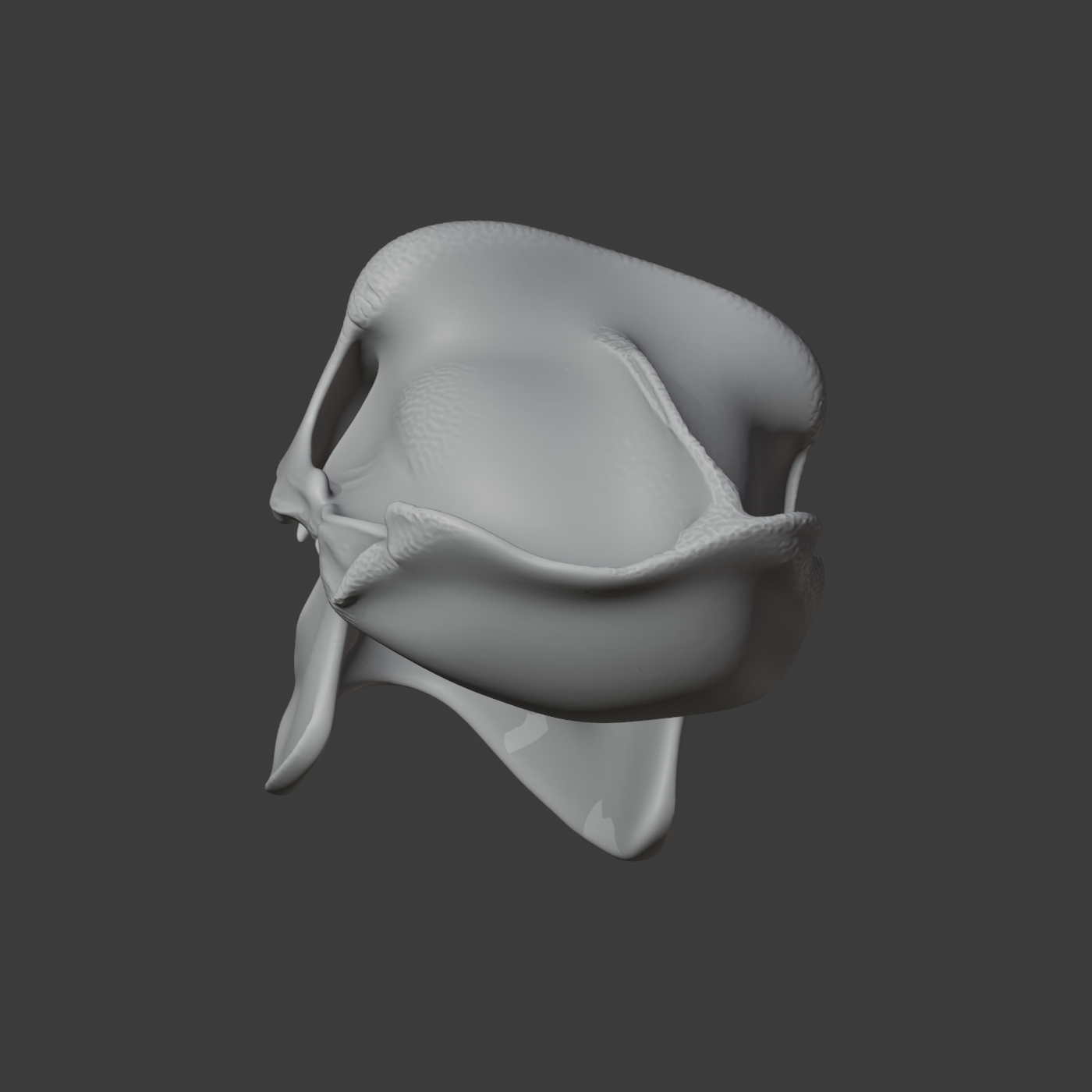 Gorilla Skull