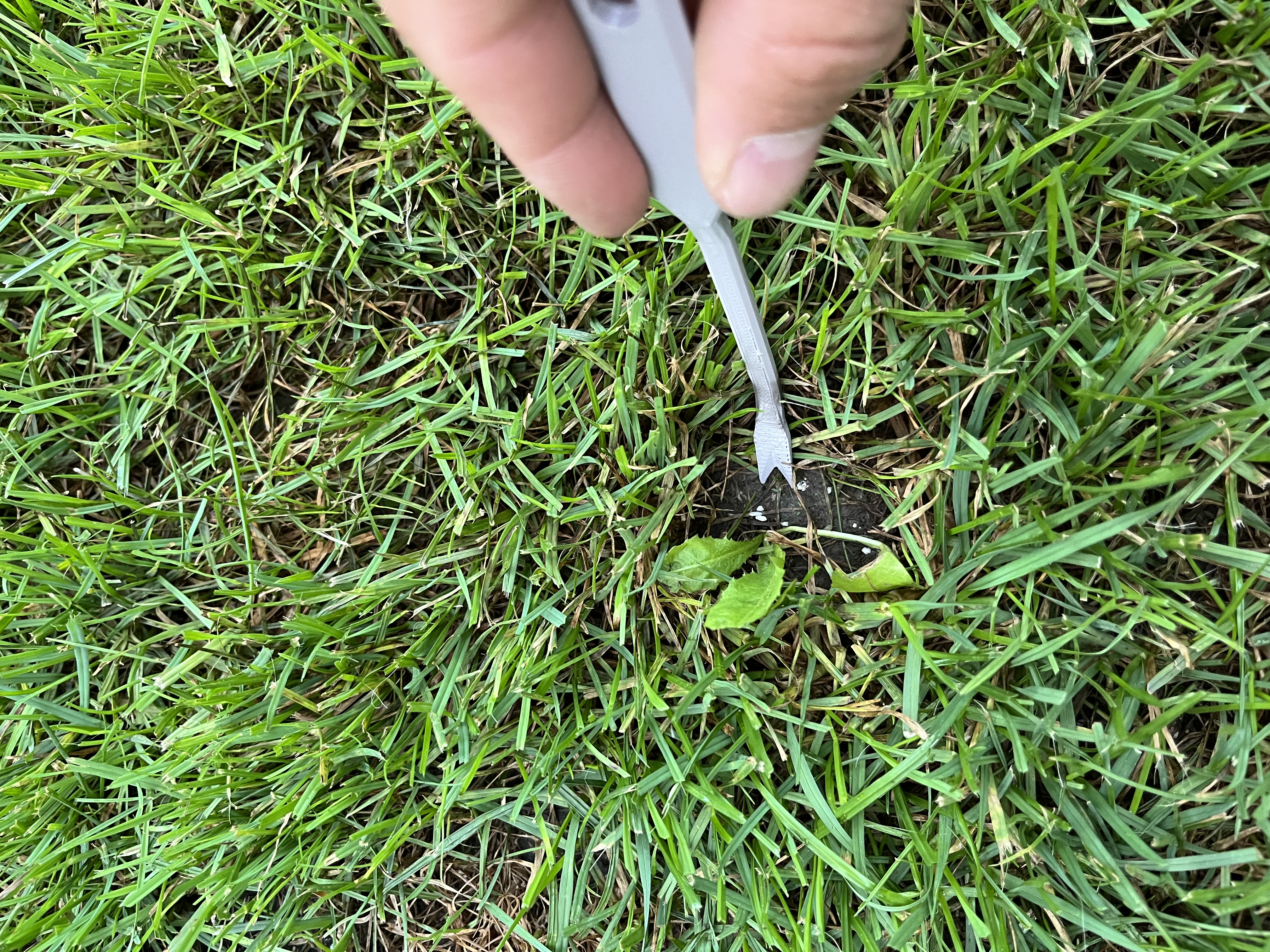 Small weed remover — miniatura 3