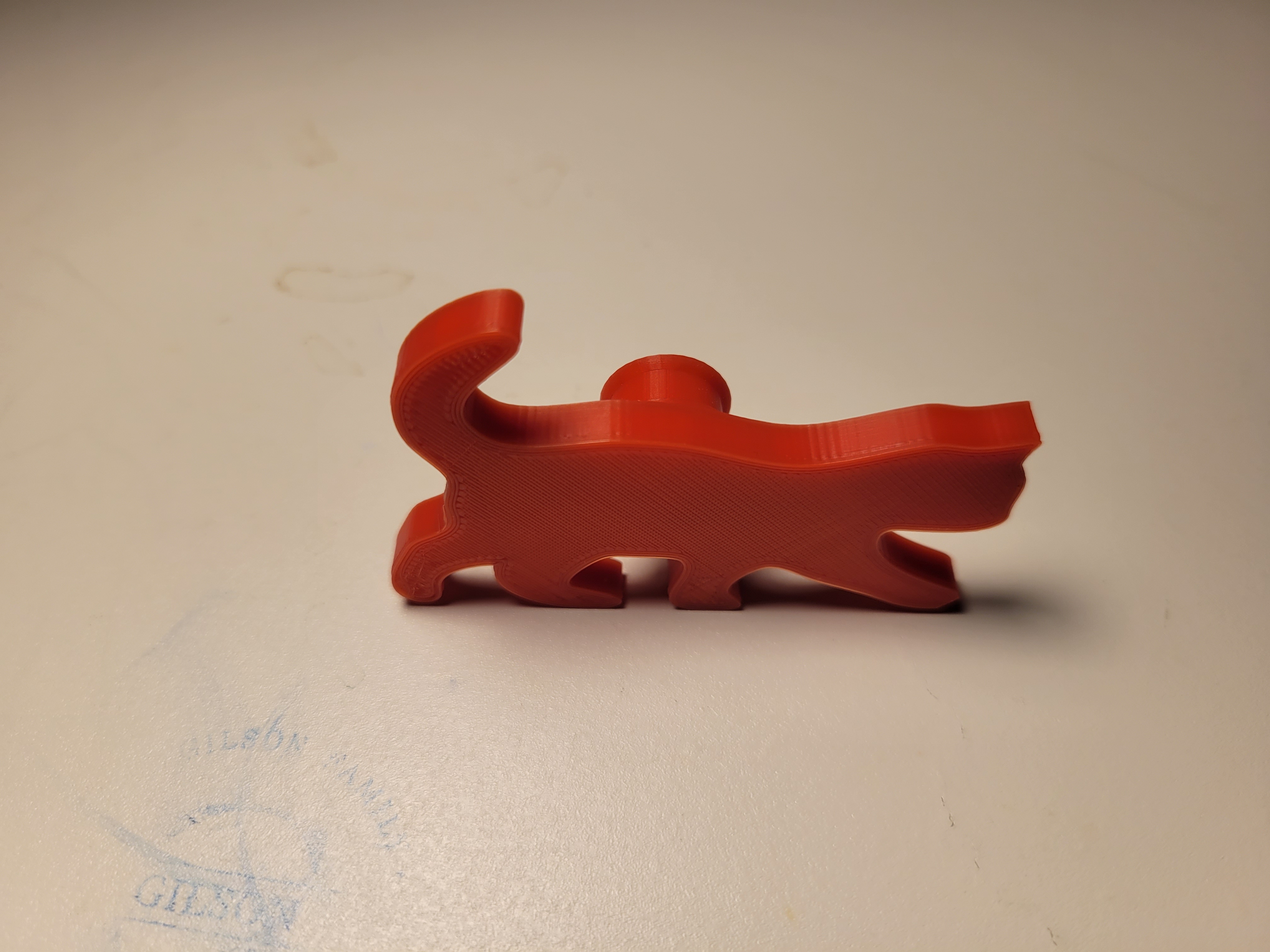 Bogg Bag Cat Charm