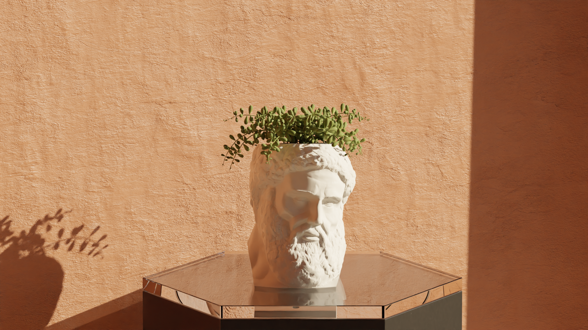 Hercules - Pot Plant