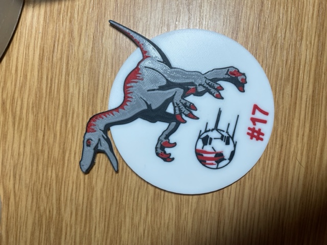 Raptors Coaster